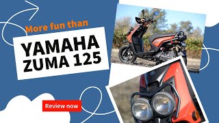 2014 Yamaha Zuma 125 Review [upl. by Nosnar]