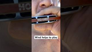 When wind blows at the back side of harmonica it produces G chord and Im playing over it… fun 😄 [upl. by Lessur479]