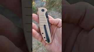 Стоит своего Bestech Knives Goodboy knife edc fishing carpfishing blade survival обзор [upl. by Gothard]