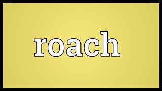 Roach Meaning [upl. by Oicram]