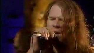 Screaming Trees Dollar Bill BBC Live [upl. by Audri]