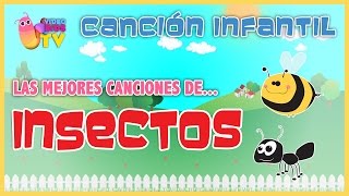 ♫♪ ♫♪ Las mejores canciones de INSECTOS [upl. by Eevets]