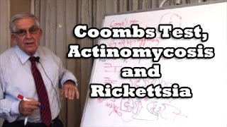 Coombs Test Actinomycosis and Rickettsia [upl. by Horatia]