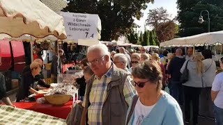 Hohenmölsener Herbstmarkt 2019 [upl. by Lahsram341]