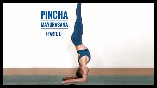 Tutorial yoga  PINCHA MAYURASANA iniciación [upl. by Vyky]