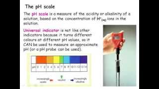 IGCSE Chemistry Acids Bases and Salts [upl. by Aihtnis]