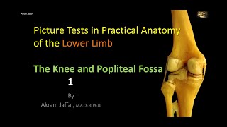 Picture tests in Anatomy Lower Limb Knee and popliteal fossa 1 [upl. by Petulia918]