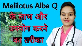 Melilotus Alba Homeopathic medicine Uses Review Side effects in Hindi [upl. by Northrop]