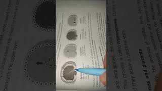 Types of gastrulation in development biology [upl. by Aland]