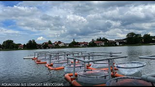 How to make a lowcost Mesocosm [upl. by Philippe]