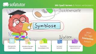 Endosymbiontentheorie – Entstehung der Chloroplasten und Mitochondrien einfach erklärt – Biologie [upl. by Elizabet]