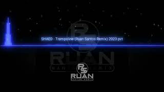 SHAED  TRAMPOLINE RUAN SANTOS REMIX 2023 PVT [upl. by Eulaliah667]