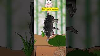 S11 Do you know the truth about bamboo rats GardenOfGoro GardeningTips cartoon [upl. by Ennayd]