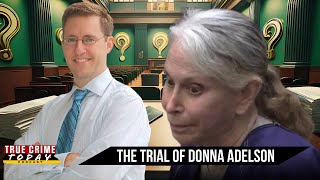 Donna Adelson Trial How Deep Does The Evil Go In The Adelson Family [upl. by Hortense]