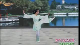 YangStyle Tai Chi 85 Form  Part 1 杨氏85式太极拳 [upl. by Iznek]