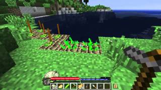 Minecraft TerraFirmaCraft 3 Farming  Gold Panning  Metallurgy [upl. by Ainesell744]