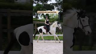 Meine Reitschule 🇨🇭♥️ horsemanship reiten pferdetraining pferdetrainer westernreiten reiten [upl. by Gottlieb]