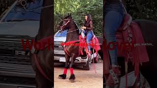 beautiful girl ride a powerful horse horsegirl horse horselover horselover horseriding viral [upl. by Assenay]