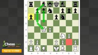 Chess Openings How to Play the Catalan [upl. by Eceertal]