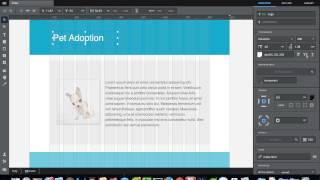 Macaw  Web Design Tool Introduction [upl. by Zaremski628]