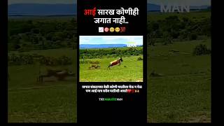 आई सारख कोणीही जगात नाही New WhatsApp status video 2024 ll Marathi Motivational video 2024 [upl. by Evette706]