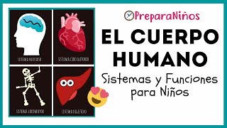 EL CUERPO HUMANO PARA NIÑOS DE PRIMARIA ⏰ PreparaNiñoscom [upl. by Redla]