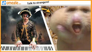 Hes a Pirate Pianist on Omegle EASY to EXPERT but [upl. by Abdul]