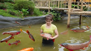 Harvesting Fishing At Fish Pond Goes To Market Sell  Cook Delicious Fish Hotpot [upl. by Ressan329]