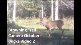 Browning Trail Camera October Bucks Two [upl. by Lajib]