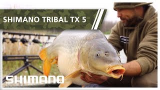 Shimano Tribal TX 5  Cristian Mihalcea [upl. by Acsisnarf]