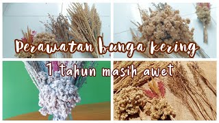 merawat bunga kering biar gak jamuran  dried flowers [upl. by Nalaf]