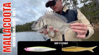 2024 BREAM Mallacoota  Highlights Day 1 [upl. by Manon474]