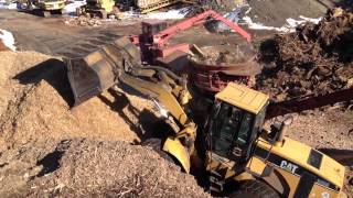 Stump Grinding with Morbark 1300 [upl. by Elrebmik]