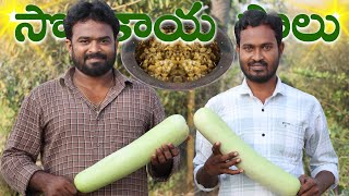 సొరకాయ పాలు  Bottle Gourd Curry with Milk  Ranganayakamma Kitchen [upl. by Vins957]