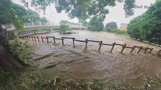 Cyclone Belal Mauritius Ile Maurice [upl. by Irb]