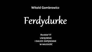 Ferdydurke  rozdział 6 [upl. by Atiuqan606]