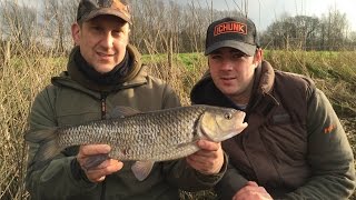 Chub Fishing On The River  Rigs Tips amp Tactics [upl. by Greene]