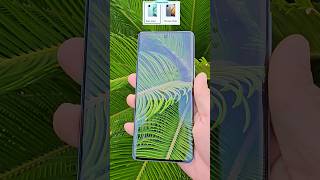 iQOO Z9s 5G⚡️120 Hz 3D Curved AMOLED Display⚡️Dimesity 7300 5G Processor shorts iqooz9s [upl. by Duff]