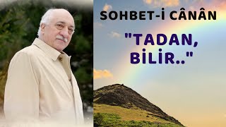 quotKALBİN ZÜMRÜT TEPELERİ FETHULLAH GÜLEN HOCAEFENDİ NİN GÜNLÜKLERİDİRquot [upl. by Eneleoj]