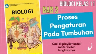 Perbedaan siklus hidup tanaman paku dan lumut BIOLOGI KELAS 11 buku kemendikbud [upl. by Hallutama]