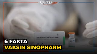 6 Fakta Vaksin Sinopharm Vaksin Booster dengan Izin BPOM [upl. by Weinman]