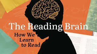 The Reading Brain  How We Learn To Read [upl. by Ulita]