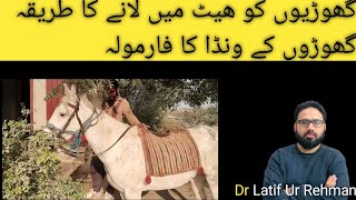 godi ko heat mn Lana ka tariqahow to mare come into heatdr Latif Ur Rehman [upl. by Brill934]