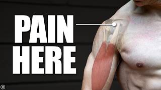 Biceps Tendinopathy  Tendinitis  Anterior Shoulder Pain Rehab Education amp Exercises [upl. by Llien]