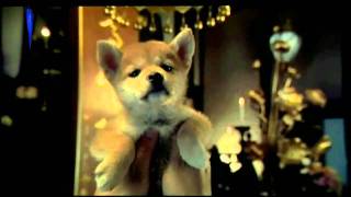 Trailer Hachiko [upl. by Odlonyer]