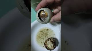 BALUT PENOY MUKBANG ONLY IN THE PHILIPPINES short mukbang balut [upl. by Yeca958]