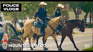 POLICE VLOGS Mounted Patrol Davie Police Department [upl. by Neffets]