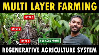 Organic Regenerative Agriculture and Sustainable Multi layer Farming System  Varanashi Farms [upl. by Celinda]