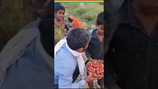 Manishkasyab khagriya jila ke mathura pur me [upl. by Helsa]