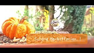 Schöne Herbstferien [upl. by Jacinta]